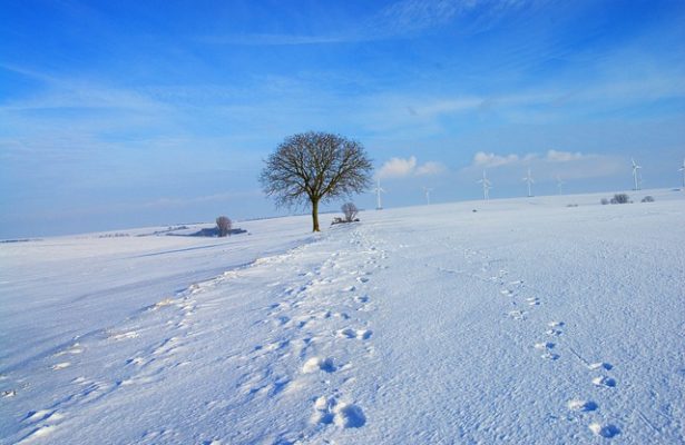 snow-winter-icy-cold-white-blue-bruise-walk