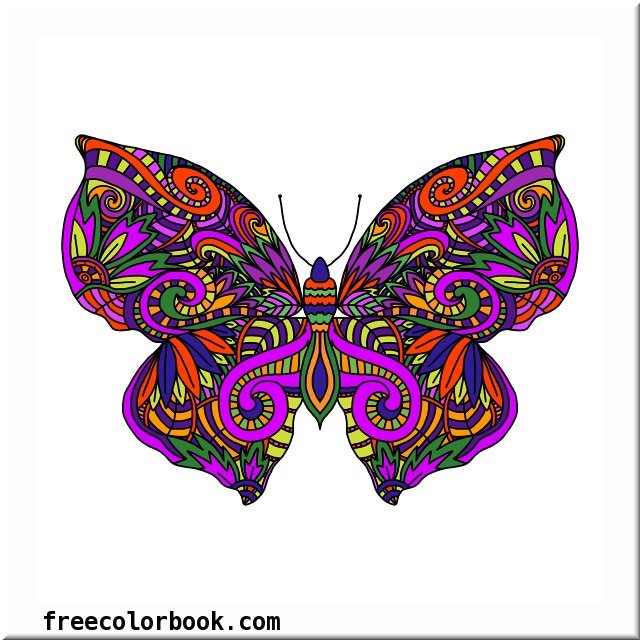 9154A724-B94B-484E-9B45-319BCC0519F3-b69613a3