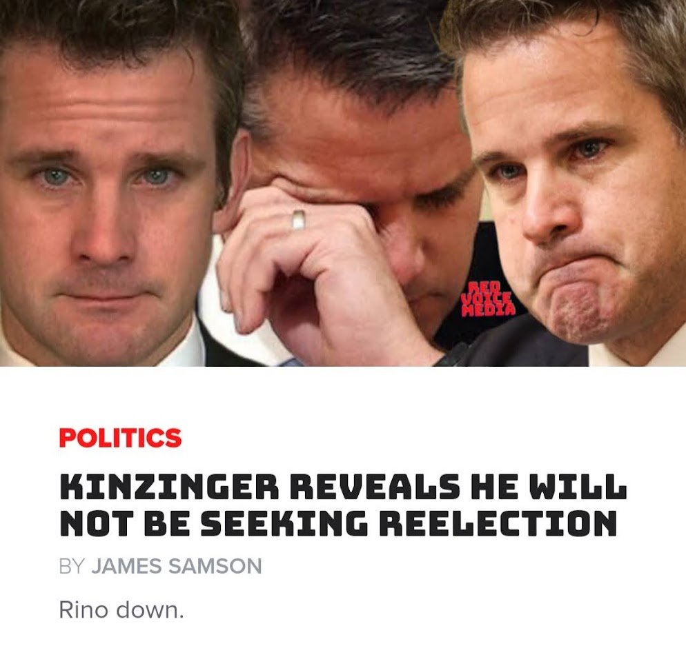 Kinzinger will not seek reelection-f39273e8