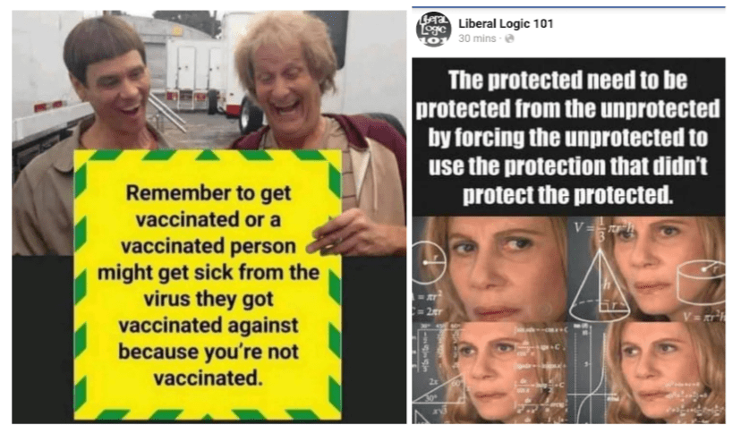 Vaccinated Protection-f905241f