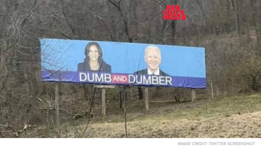Dumb and Dumber Billboard in Wisconsin-834bb5c5