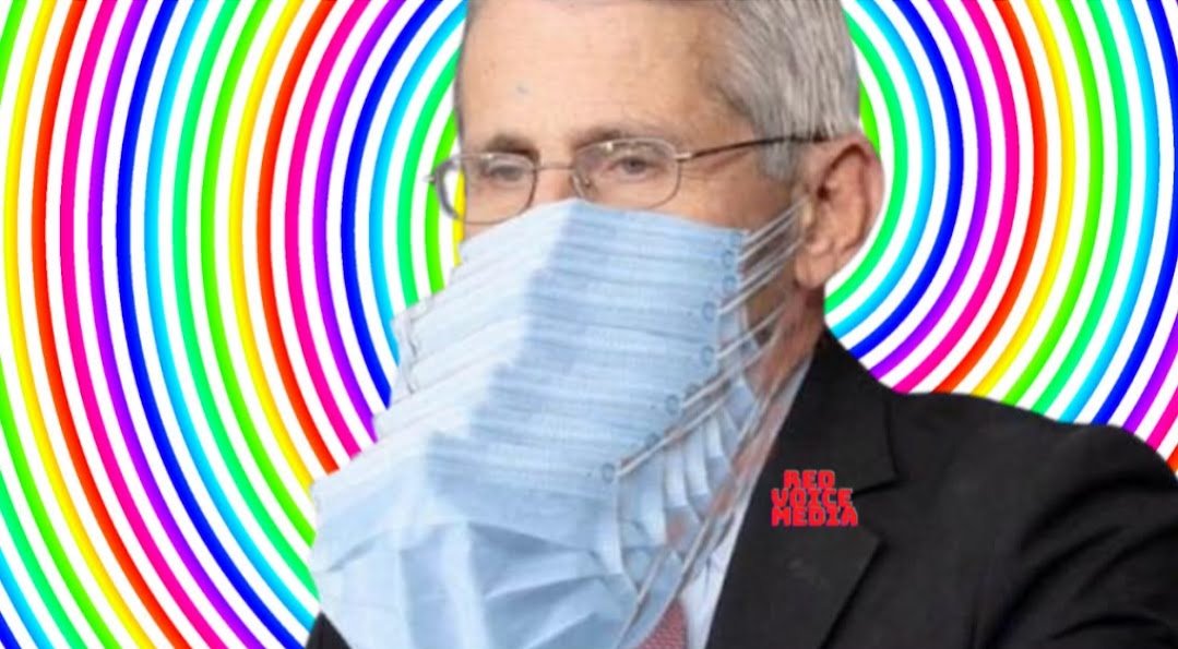 Fauci in masks-1f3fe5ff