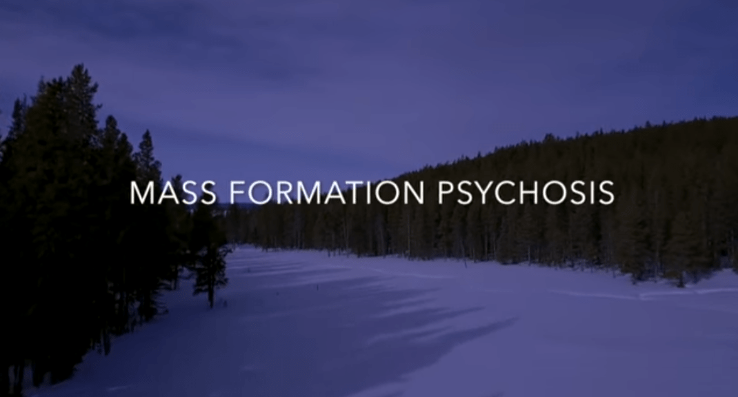 Mass Formation Psychosis-efd2089b