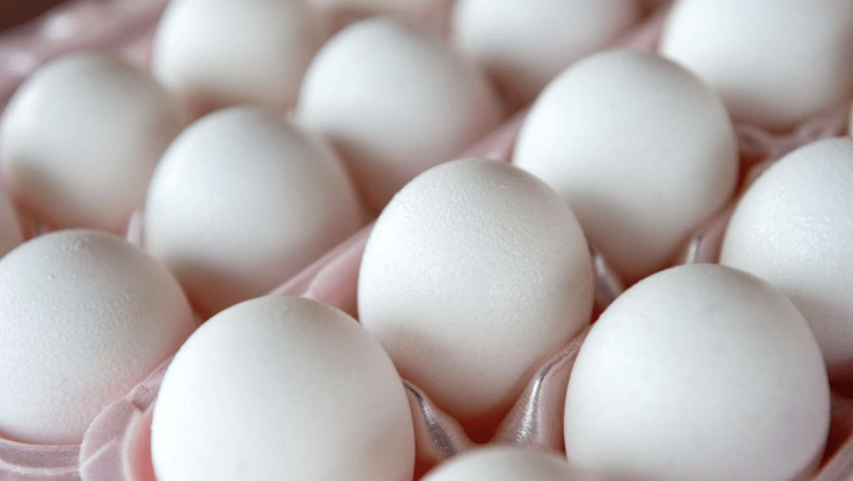 Screen Shot 2021-12-16 at 3.42.02 PM-5a55f25f